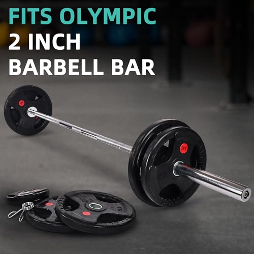 Cast Iron Weight Plates with Barbell Bar and Locks, 100 Pounds Set L92790