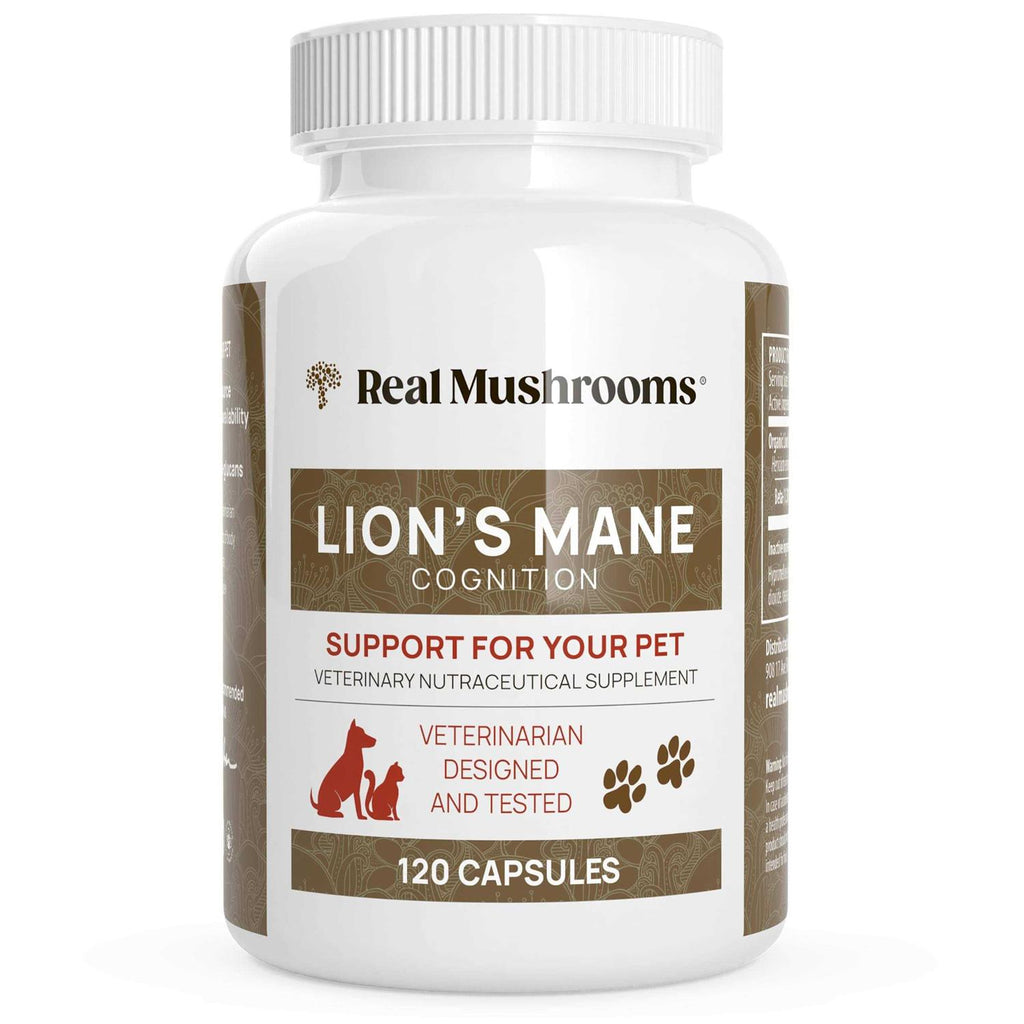 Lion’s Mane R1561