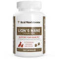 Lion’s Mane R1561