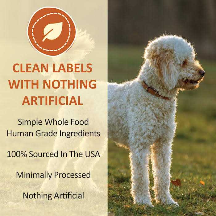 Freeze Dried Pumpkin Powder for Dogs & Cats L2128