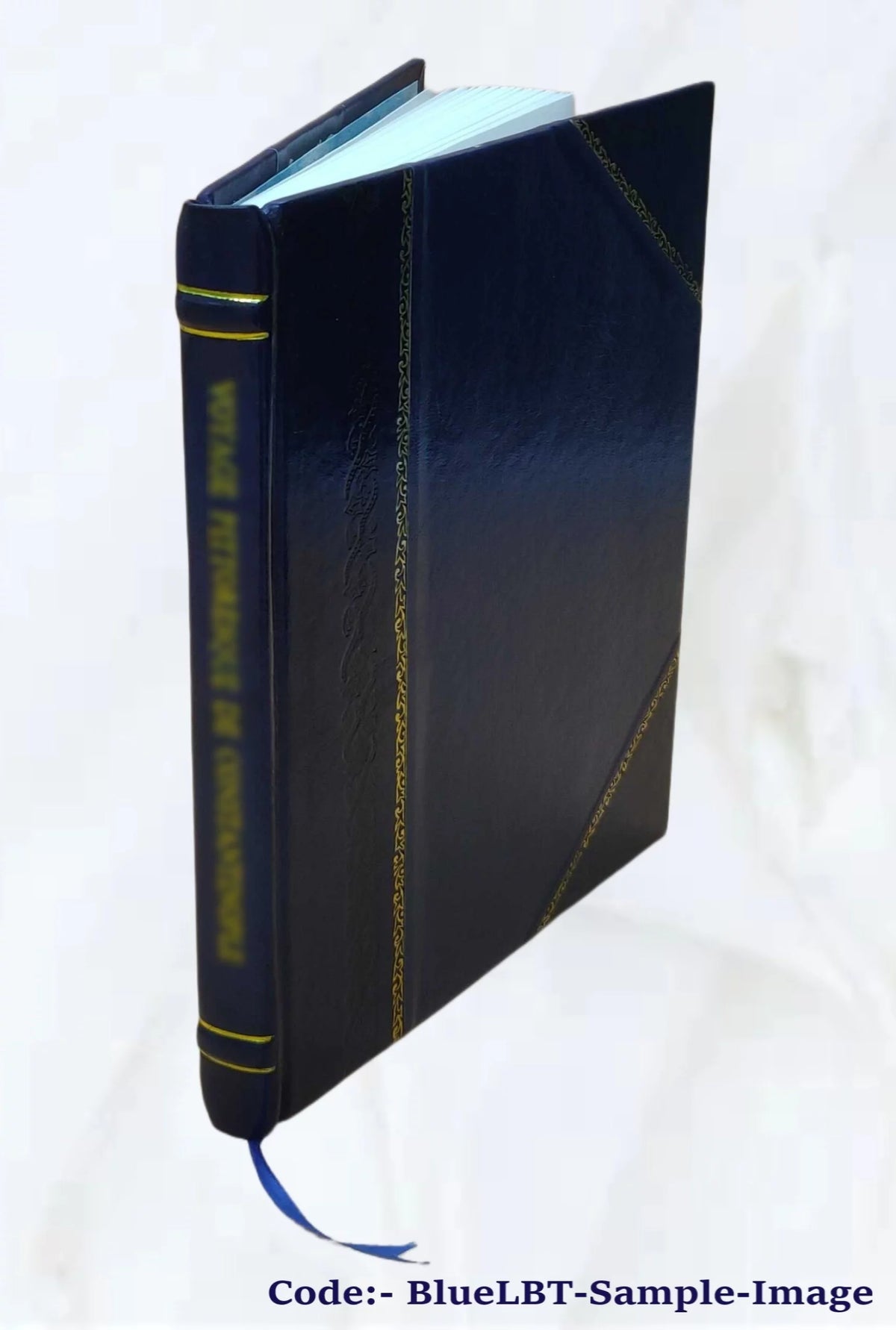 Leather Bound Book T169