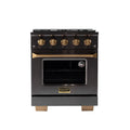 30 4.2 cu. ft. Natural Gas Range Titanium Stainless Steel X5715