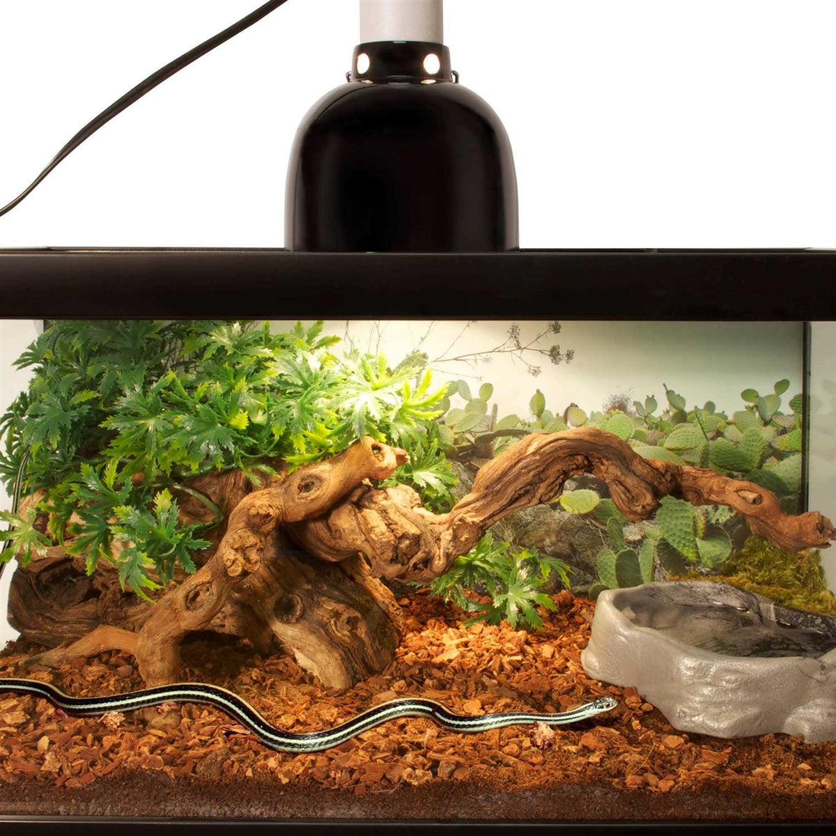 Reptile Bedding T418
