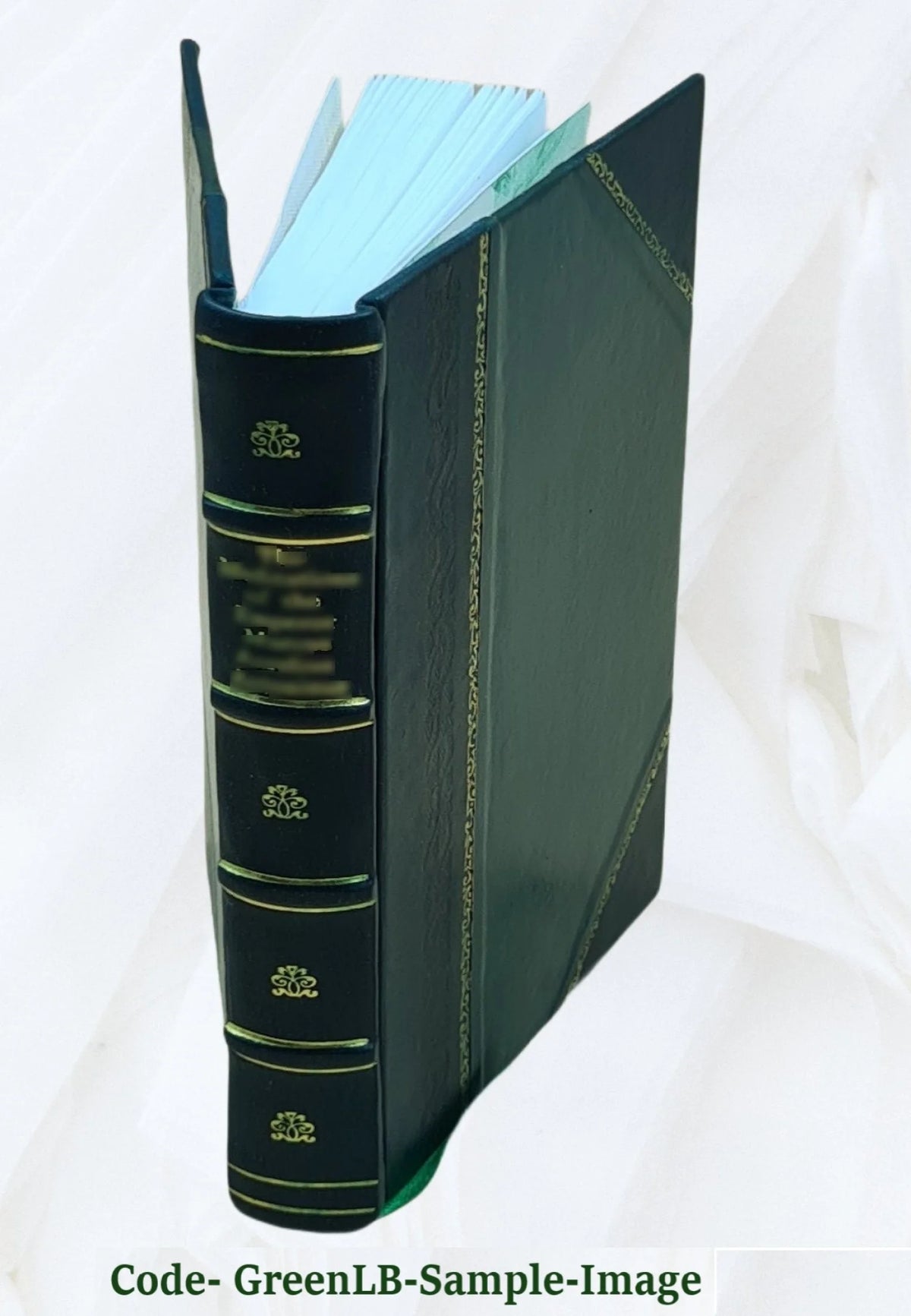 Leather Bound Book R511