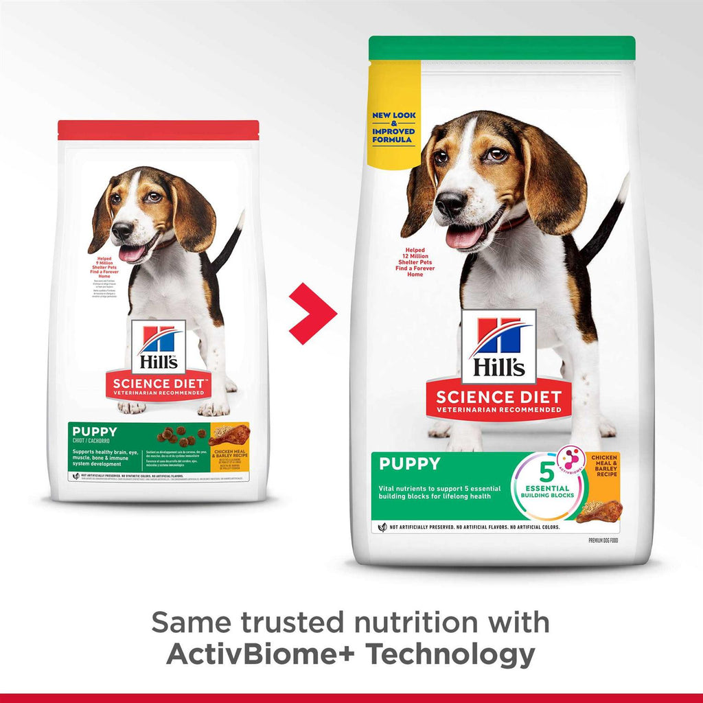 Dry Dog Food R17364