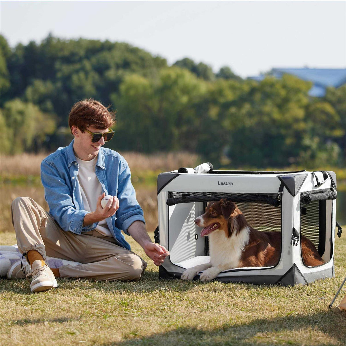 Collapsible Dog Crate O6766