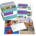 Picture Cards Verbs T2246