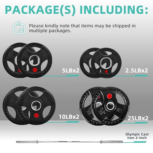 Cast Iron Weight Plates with Barbell Bar and Locks, 100 Pounds Set L92790