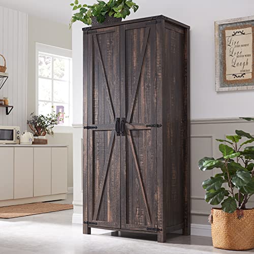 32'' Dark Rustic Oak Storage Cabinet with Adjustable Shelves B653