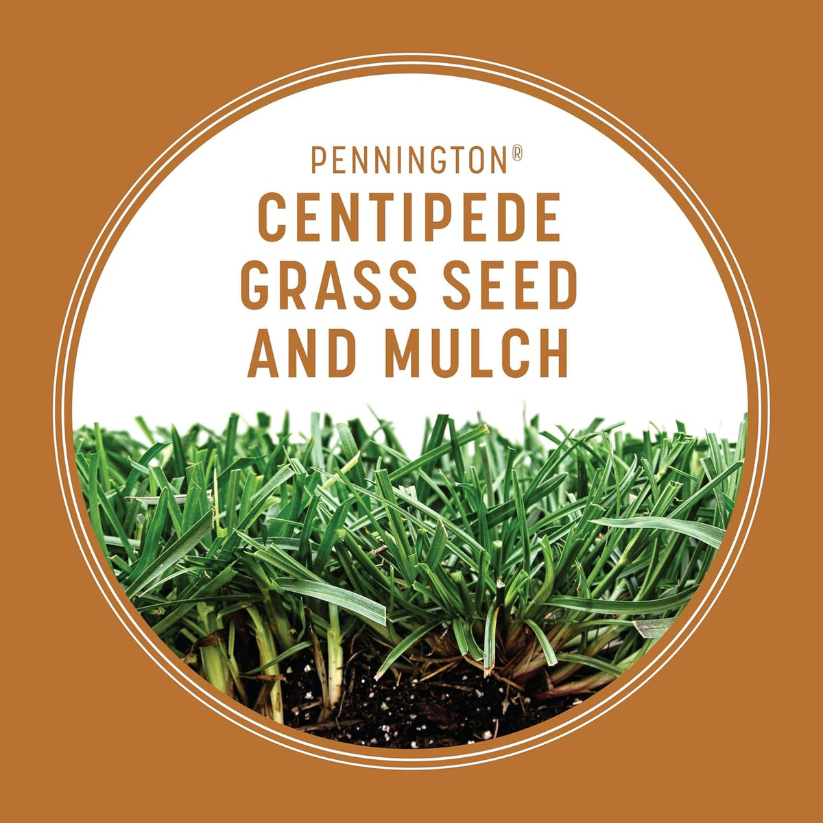 Centipede Grass Seed & Mulch 5 LB R607