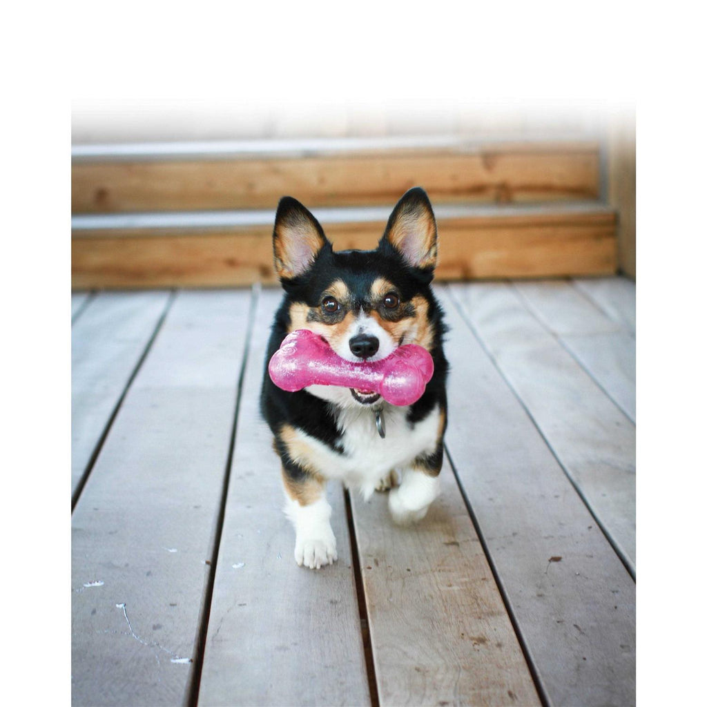 Dog Bone A1018