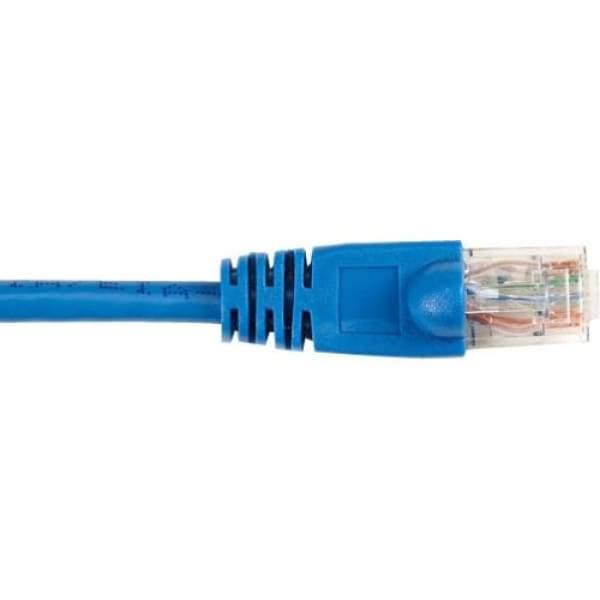 Cat6 Patch Cable Blue 4-ft. 25-Pack K33790