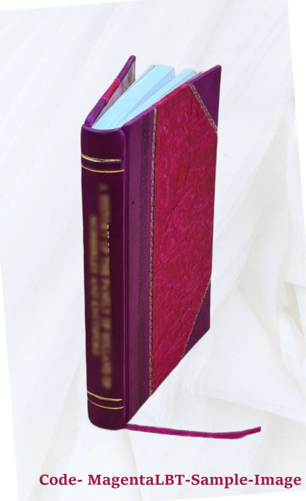 Leather Bound Book T169
