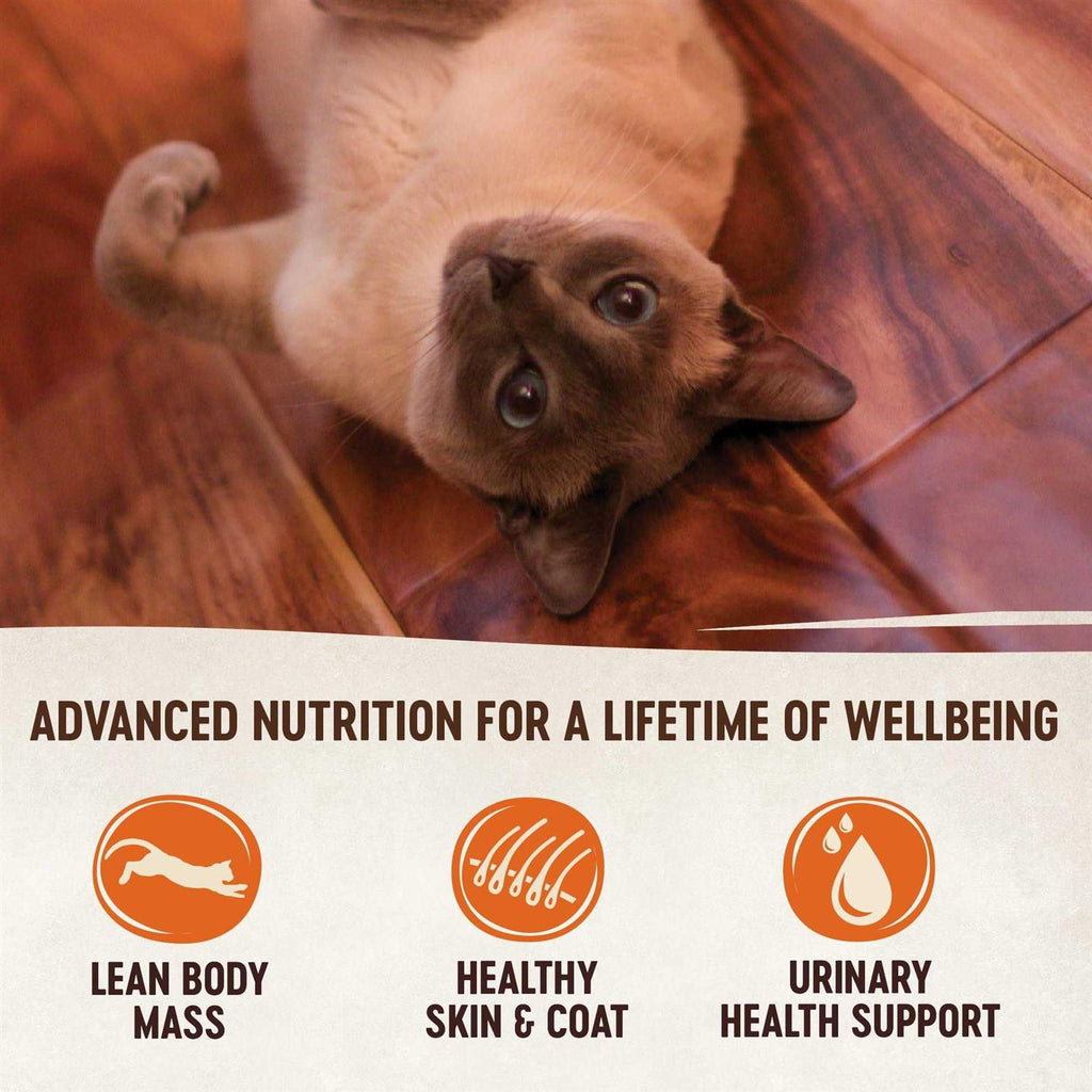 Grain-Free Turkey & Chicken Liver Pate Canned Kitten Food D59415