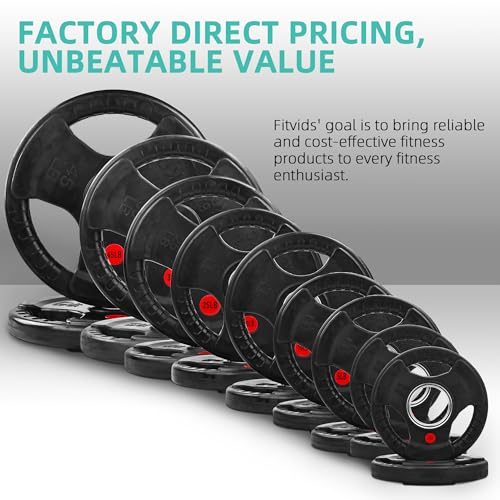 Cast Iron Weight Plates with Barbell Bar and Locks, 100 Pounds Set L92790