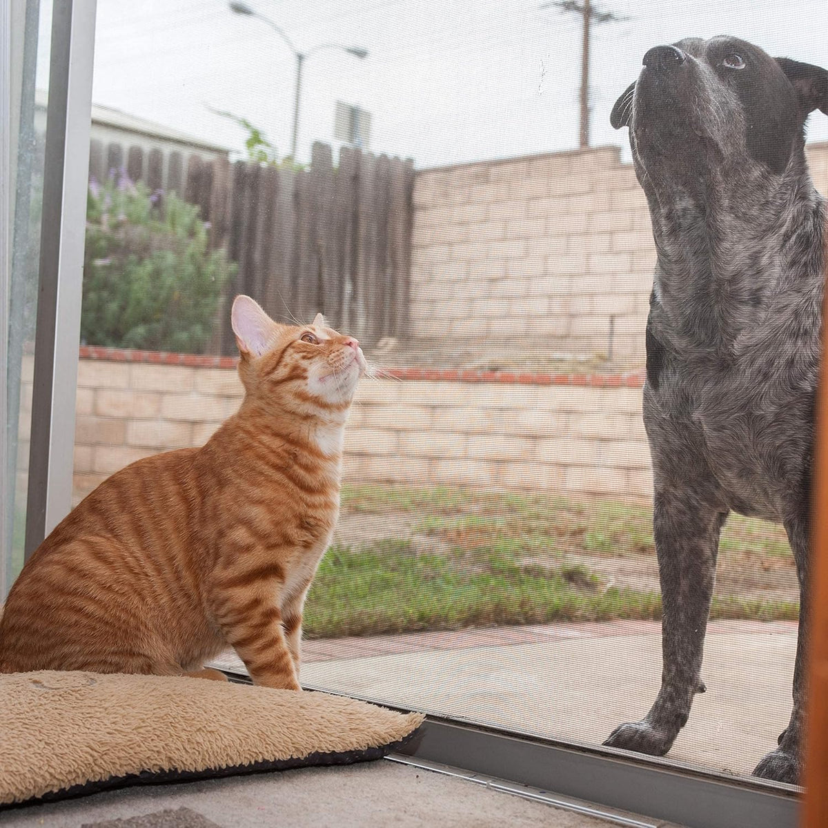 Pet Proof Screen 36" x 50" E470647