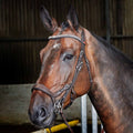 Brown Anatomic Perforated Snaffle Bridle O377