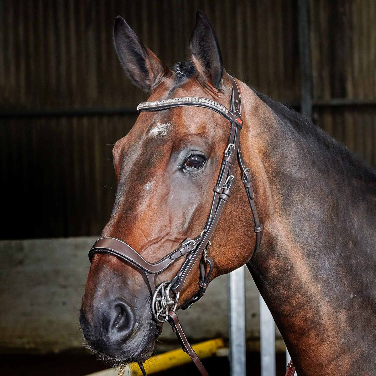 Brown Anatomic Perforated Snaffle Bridle O377