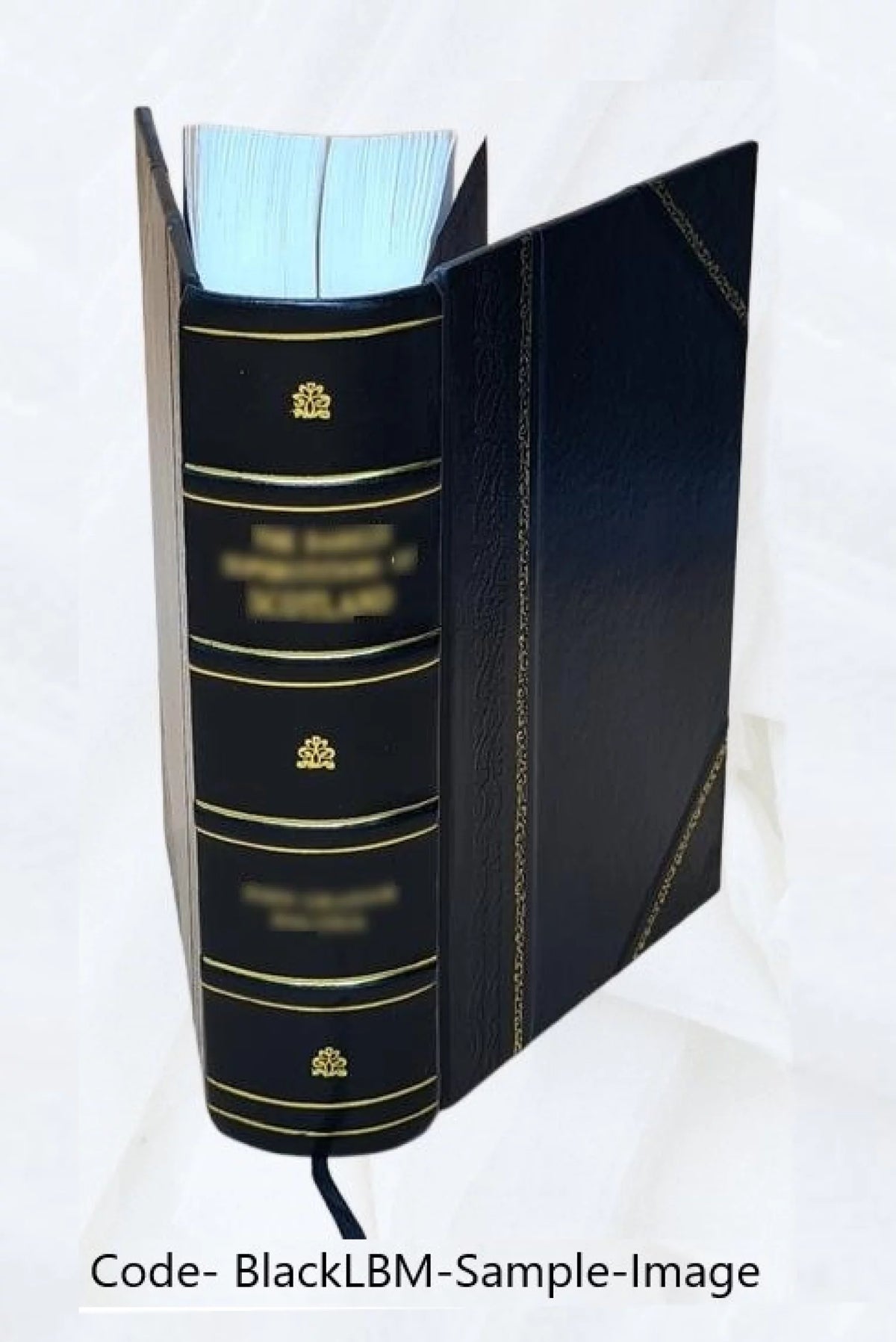 Alpha Sigma Phi Leather Bound T4993