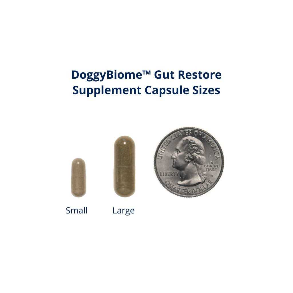 30 Capsules Supplement C665