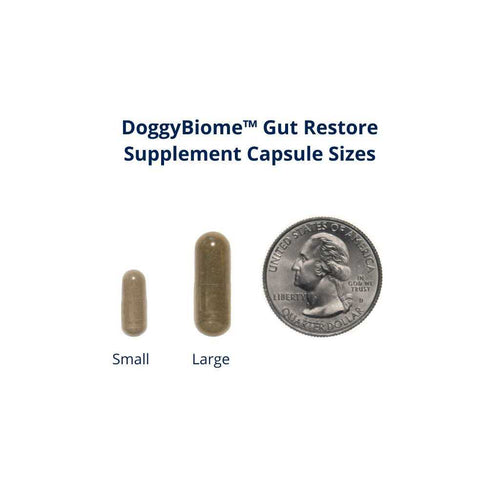30 Capsules Supplement C665