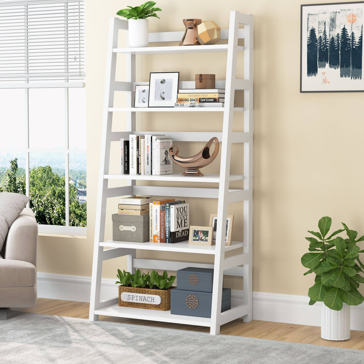 5-Tier Modern Bookshelf C557384