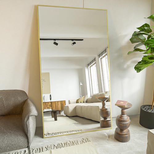 Black 65"x24" Full Length Mirror with Aluminum Alloy Frame B478