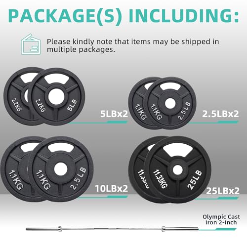 Cast Iron Weight Plates with Barbell Bar and Locks, 100 Pounds Set L92790