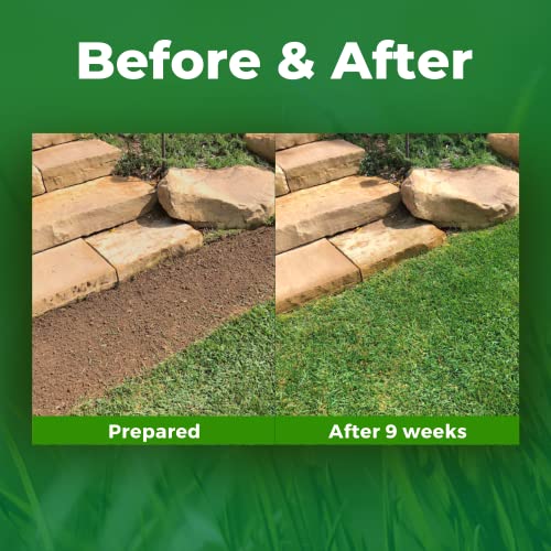 Biodegradable Grass Seed 50 SQFT Bermuda Rye T953