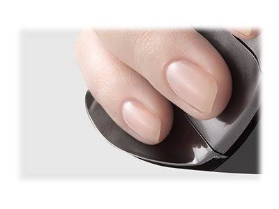 Wireless Mouse (Large) A723493