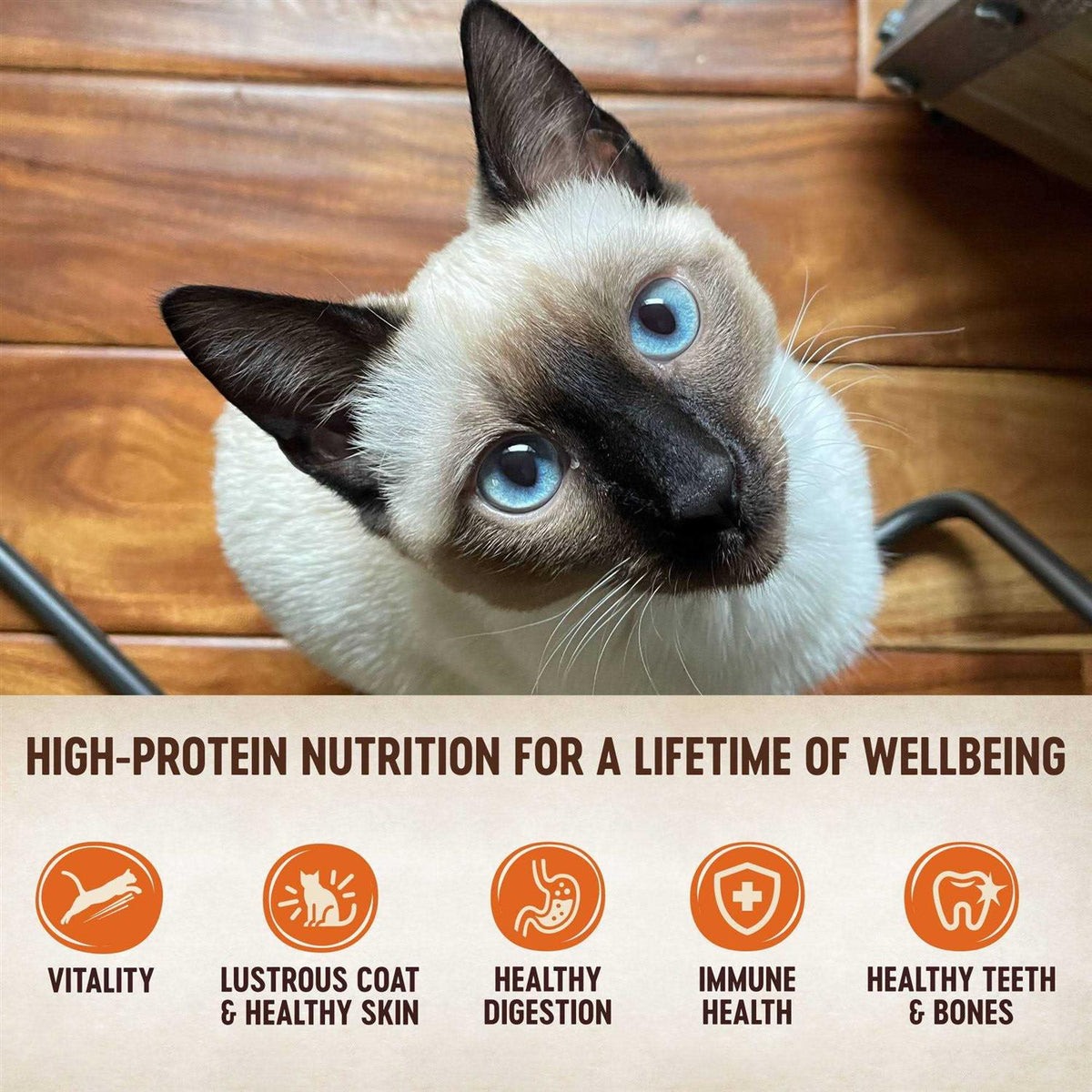 Grain-Free Turkey & Chicken Liver Pate Canned Kitten Food D59415