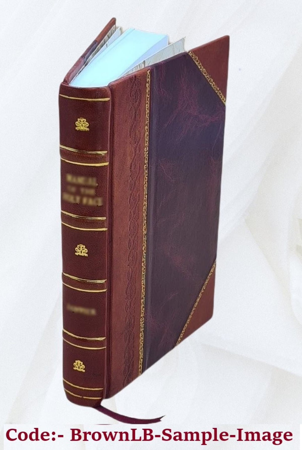 Leather Bound Book R511