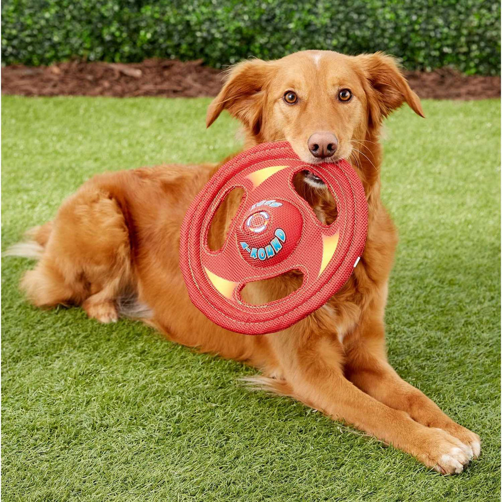 Dog Toy U79777