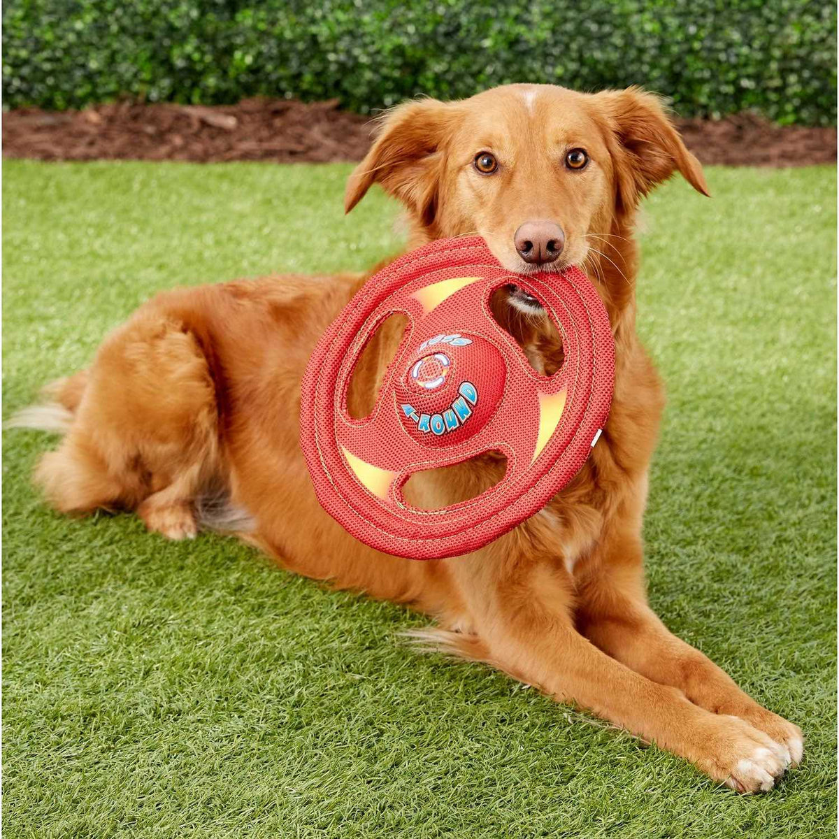 Dog Toy U79777