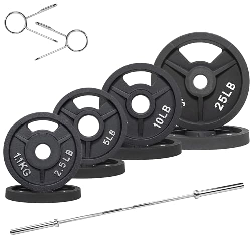 Cast Iron Weight Plates with Barbell Bar and Locks, 100 Pounds Set L92790