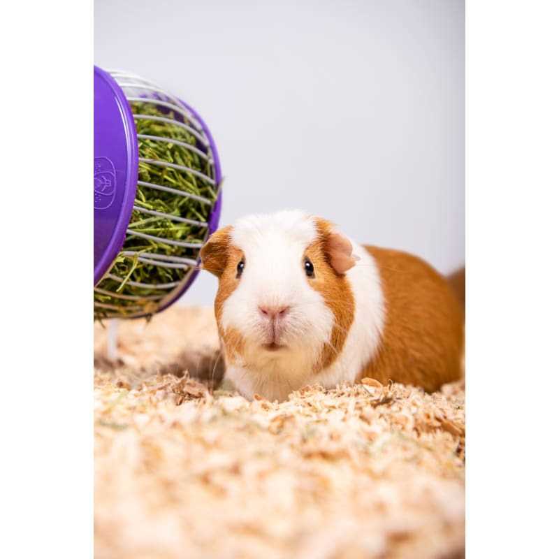 Pet Bedding D5066