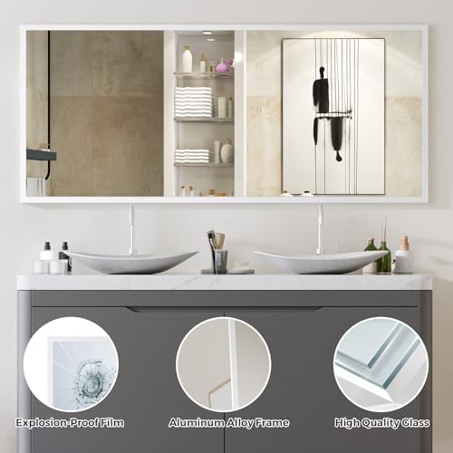 Black 65"x24" Full Length Mirror with Aluminum Alloy Frame B478