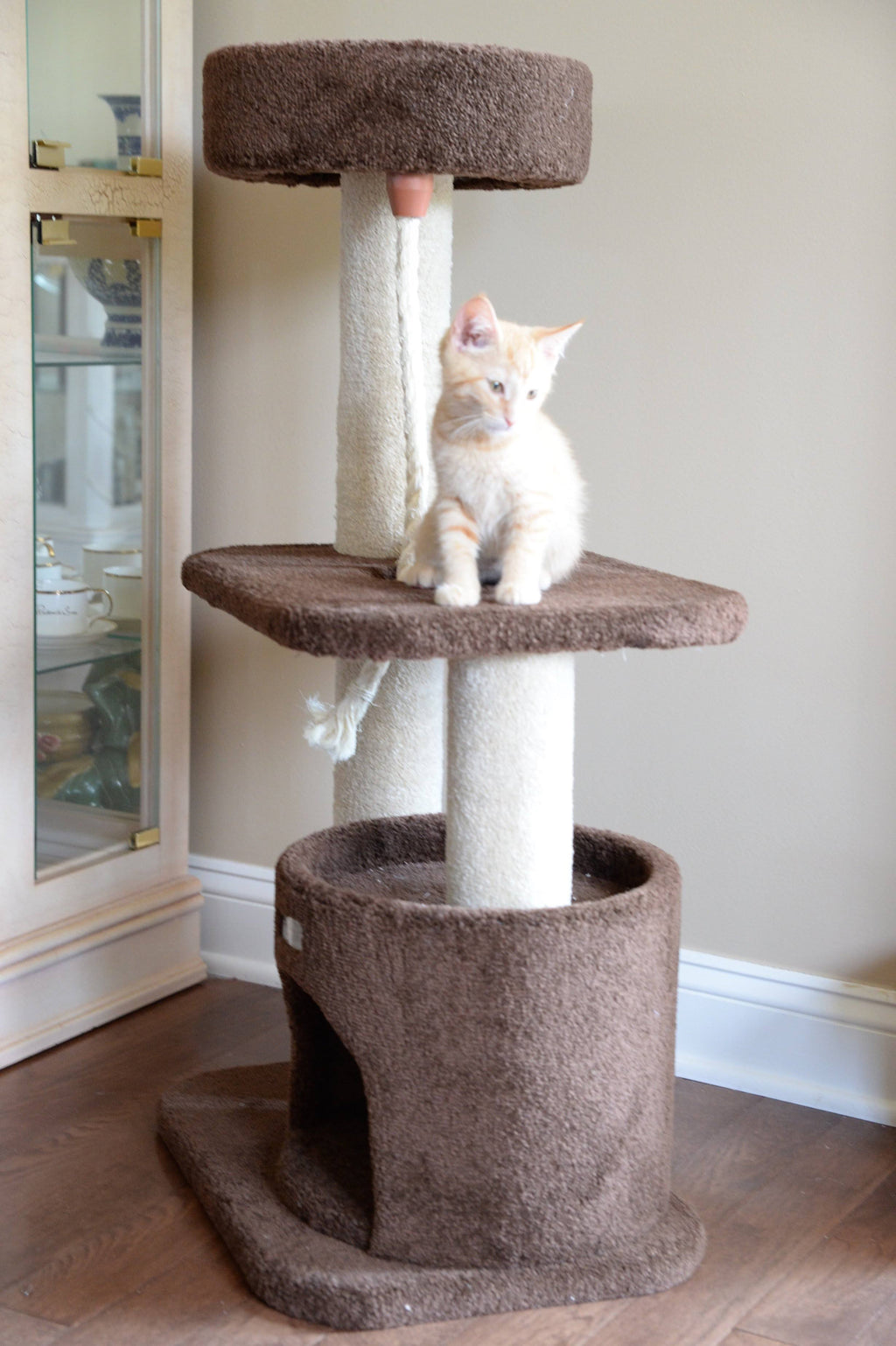 Carpeted Cat Tree D1395
