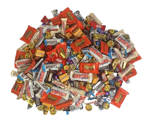 3 Lb Bulk Individually Wrapped Assorted Chocolate Candy Variety Pack O253667