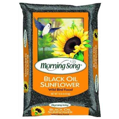 Black Oil Sunflower Wild Bird Food O581