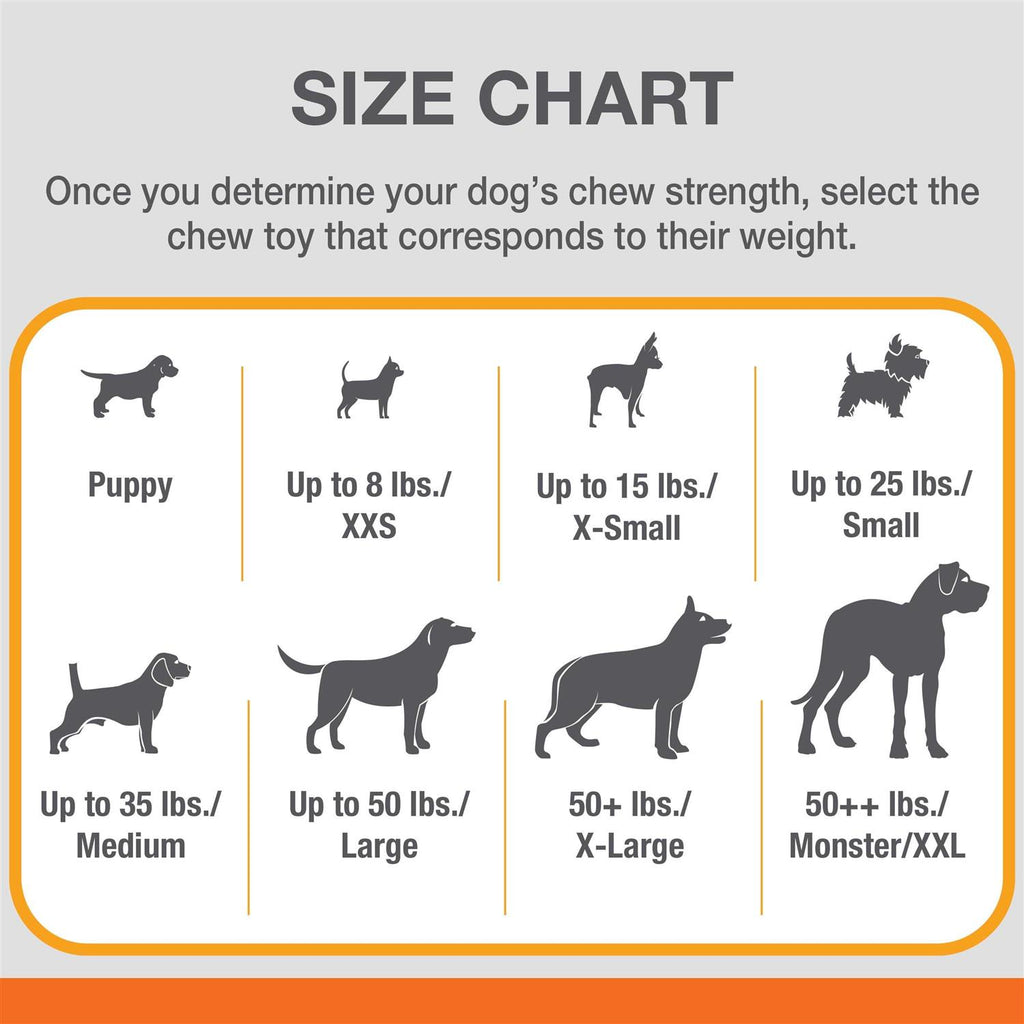 Daily Dental Chew Toy R636