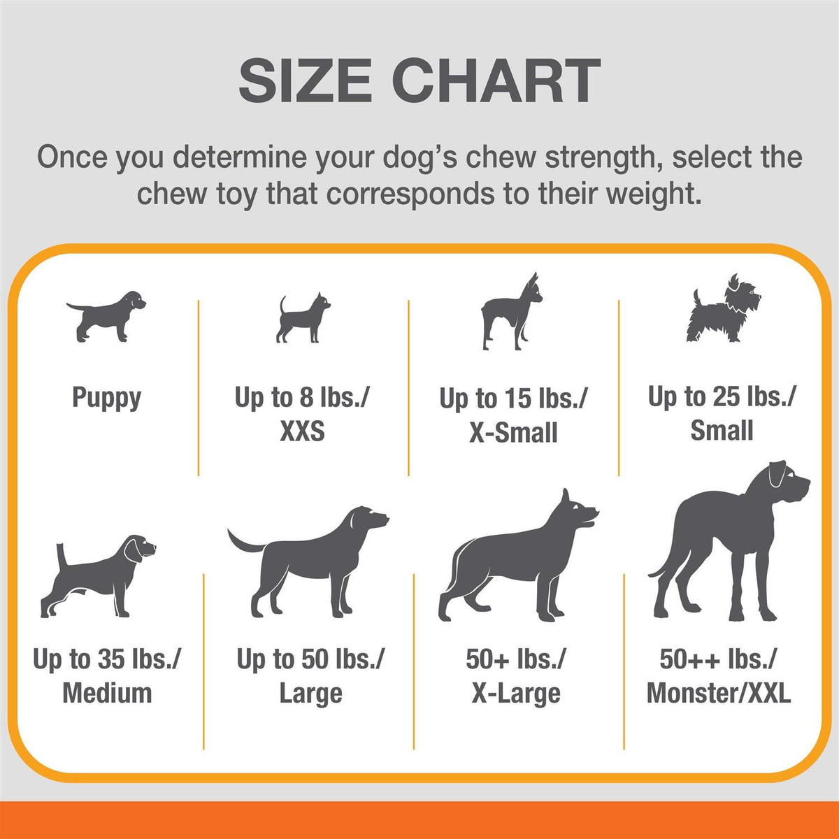 Daily Dental Chew Toy R636
