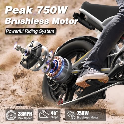 Electric Bike 750W 48V 13Ah Battery 20" Fat Tire B635142