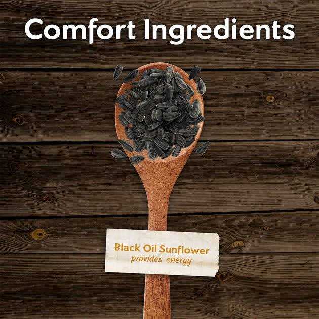 Black Oil Sunflower Wild Bird Food O581