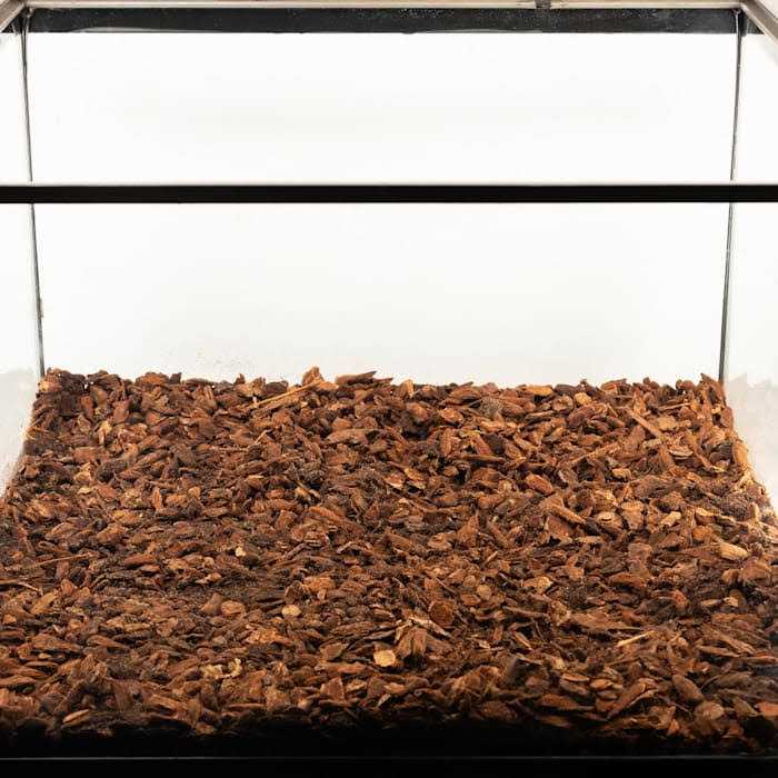 Reptile Bedding T418