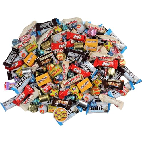 3 Lb Bulk Individually Wrapped Assorted Chocolate Candy Variety Pack O253667