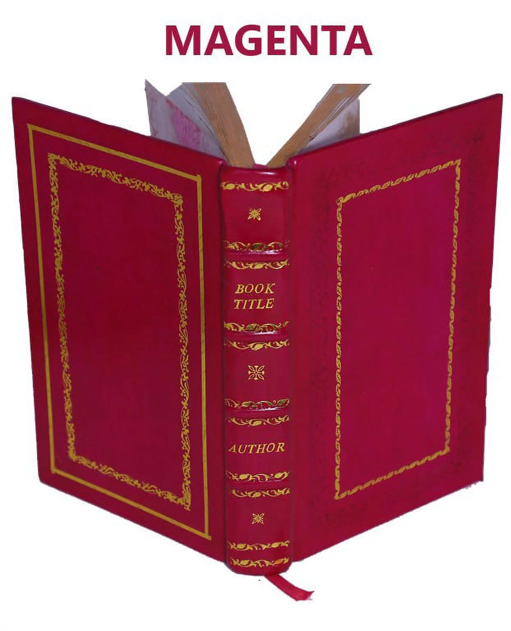 1920 Premium Leather Bound N420
