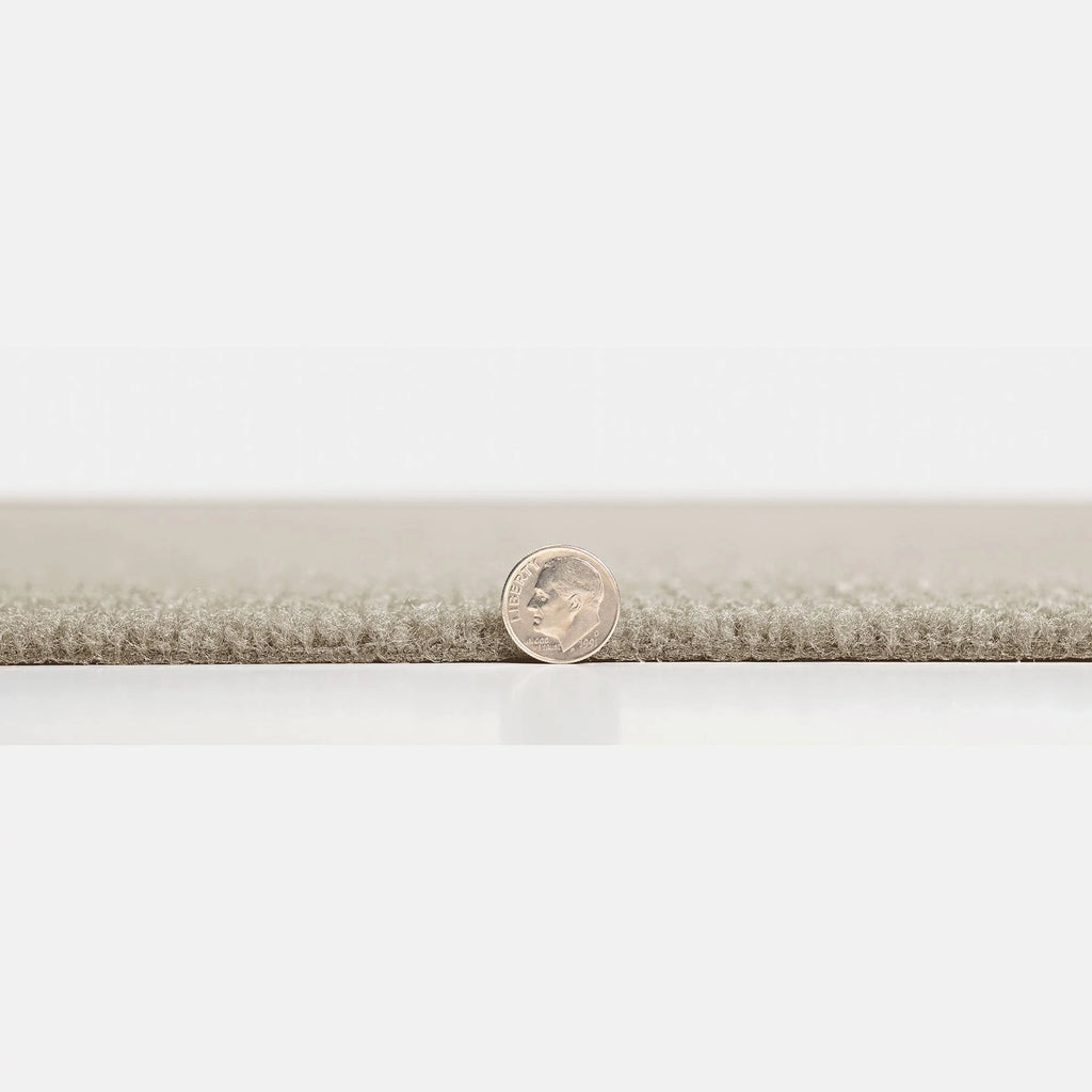Peel and Stick Carpet Tiles 15 Tiles G278435