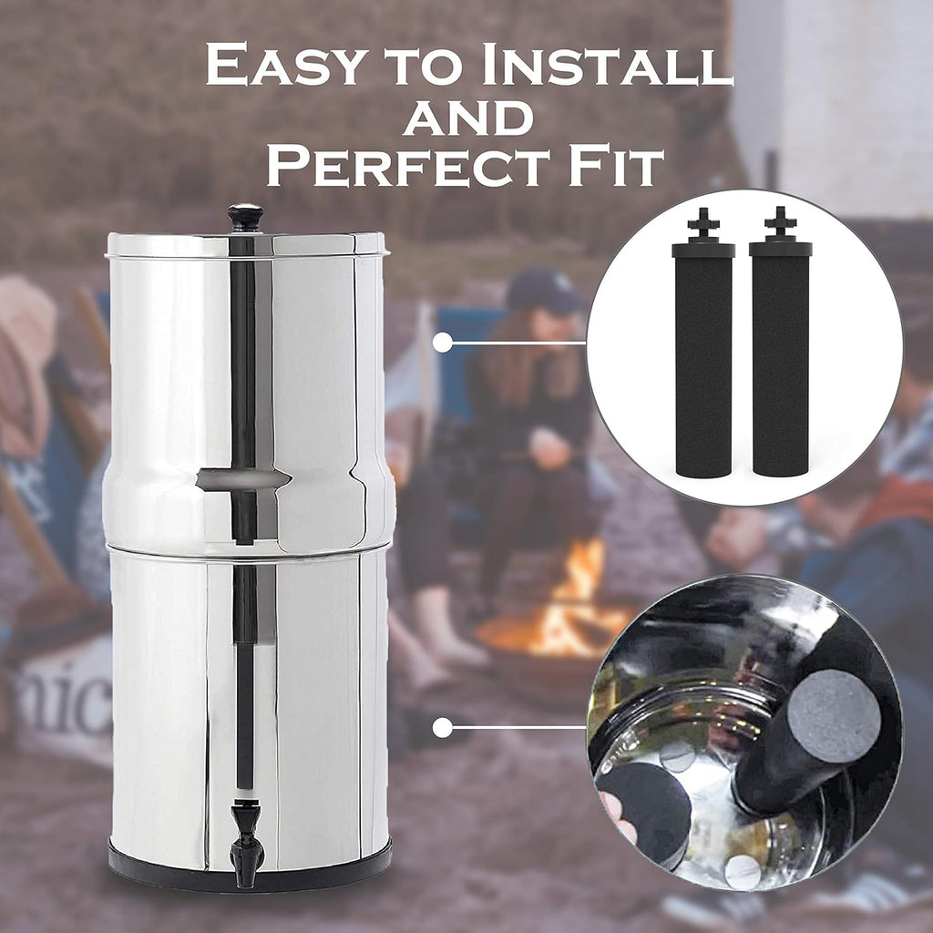 2 Pack Water Filter Purification Elements G706355