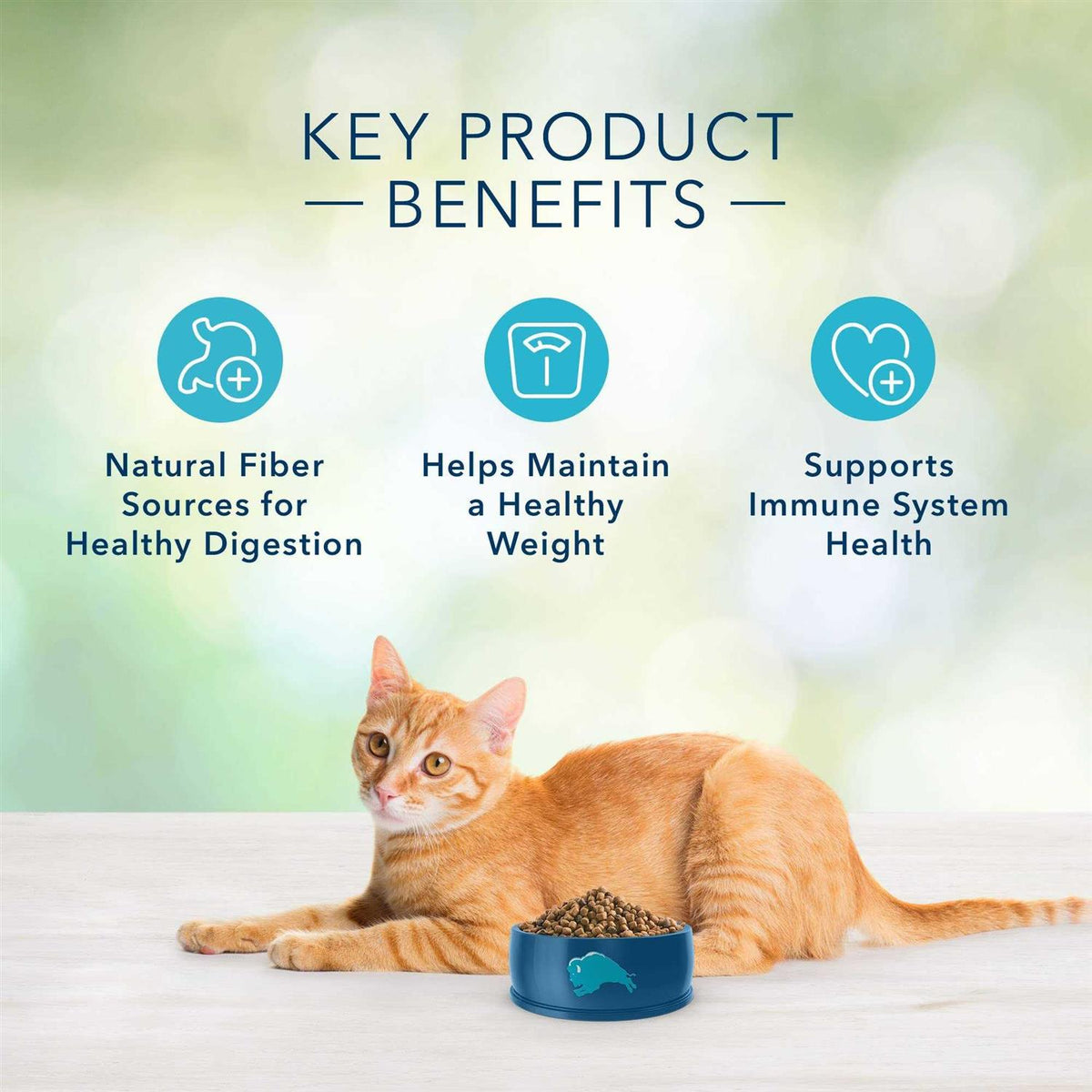 Grain-Free Indoor Adult Dry Cat Food O30205